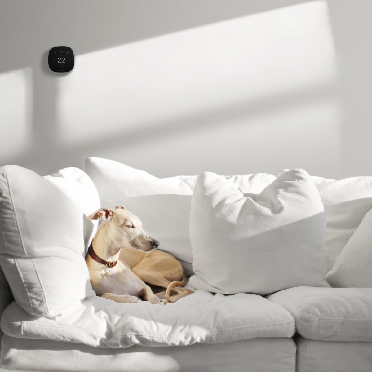 ecobee Smart Thermostat Enhanced