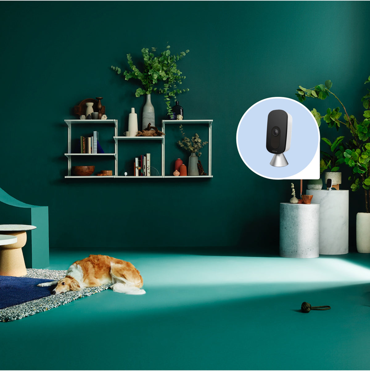 Ecobee SmartCamera with Voice Control