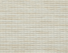 Zebra Blinds - LINKO SMART TECHNOLOGY LIMITED